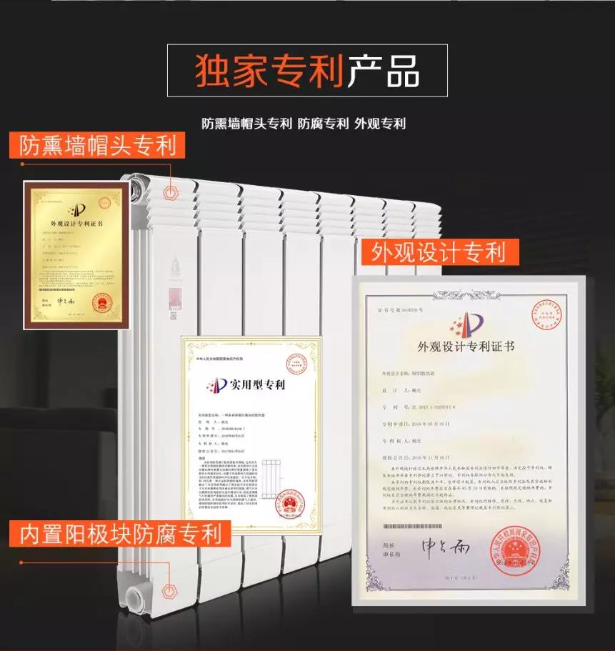 拓路前行，領跑未來：金旗艦洛陽新品推介會圓滿結(jié)束！